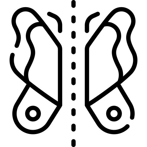 Chiral Logo